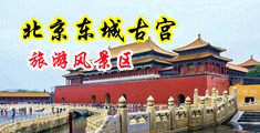 啊大鸡巴操我骚逼淫荡视频中国北京-东城古宫旅游风景区