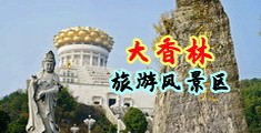 骚货综合导航中国浙江-绍兴大香林旅游风景区